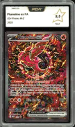 Auction visual on GCC