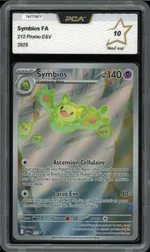 Auction visual on GCC