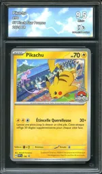 Auction visual on GCC