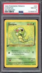 Auction visual on GCC