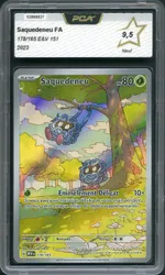 Auction visual on GCC