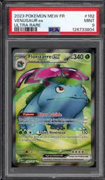 Auction visual on GCC