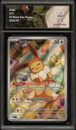 Auction visual on GCC