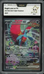 Auction visual on GCC