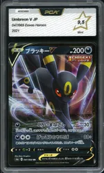 Auction visual on GCC