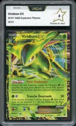 Auction visual on GCC