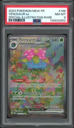 Auction visual on GCC