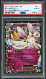 Auction visual on GCC