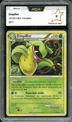 Auction visual on GCC