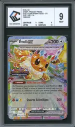 Auction visual on GCC