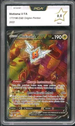 Auction visual on GCC