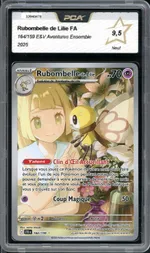 Auction visual on GCC