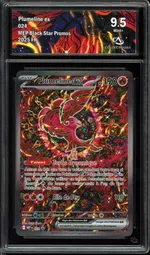 Auction visual on GCC