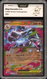 Auction visual on GCC