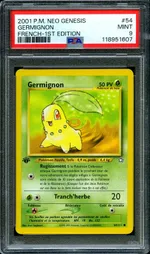 Auction visual on GCC