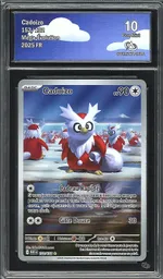 Auction visual on GCC