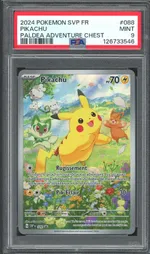 Auction visual on GCC