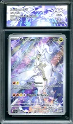 Auction visual on GCC