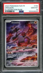 Auction visual on GCC