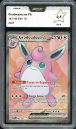 Auction visual on GCC