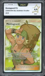 Auction visual on GCC