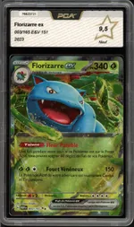 Auction visual on GCC