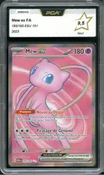 Auction visual on GCC