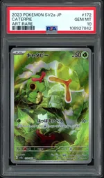 Auction visual on GCC