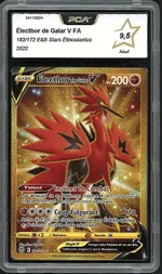 Auction visual on GCC