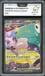 Auction visual on GCC