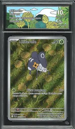 GCC marketplace card visual