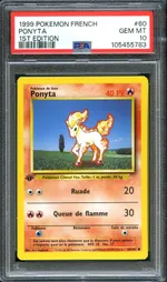 Auction visual on GCC