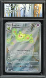 GCC marketplace card visual