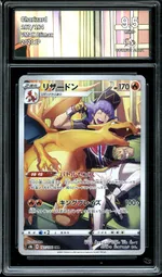 Auction visual on GCC