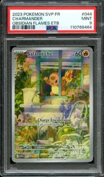 Auction visual on GCC