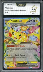 Auction visual on GCC