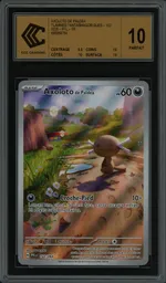 Auction visual on GCC