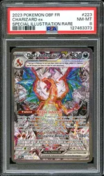 Auction visual on GCC