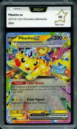 Auction visual on GCC