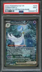 Auction visual on GCC