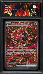 Auction visual on GCC
