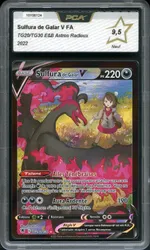 Auction visual on GCC