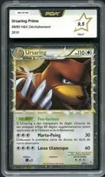 Auction visual on GCC