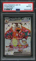 Auction visual on GCC
