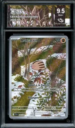 Auction visual on GCC