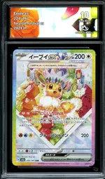 Auction visual on GCC