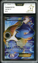 Auction visual on GCC