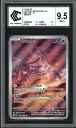 Auction visual on GCC