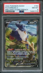 Auction visual on GCC