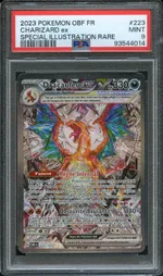 Auction visual on GCC